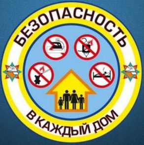 Акция МЧС «Безопасность в каждый дом» проходит в Беларуси