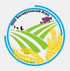 СОВРЕМЕННЫЕ АСПЕКТЫ ДЕЯТЕЛЬНОСТИ ООО «Беларускалий-Агро» – управляющая компания холдинга «Беларускалий-Агро»