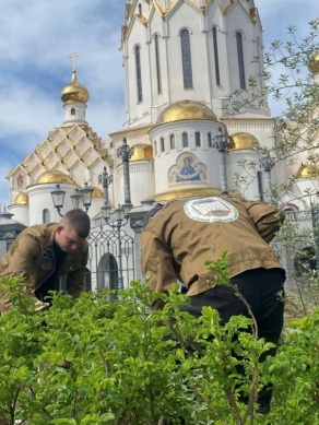 Восстановление святынь Беларуси. Волонтёры БГАТУ