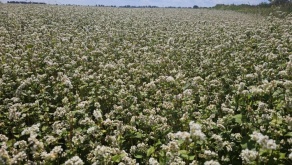 Утверждена Госпрограмма «АПК будущего» на 2026 – 2030 годы