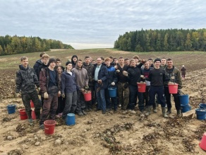 Студенты БГАТУ продолжают оказывать помощь в УП "Агрокомбинат "Ждановичи" в уборке урожая