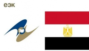 БГАТУ принял участие в цикле вебинаров, посвященных созданию зоны свободной торговли стран ЕАЭС с Арабской Республикой Египет