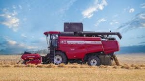 Какие задачи стоят перед аграрной отраслью на будущую пятилетку – мнение эксперта