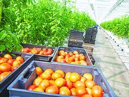 О посещении передовых агропромышленных предприятий