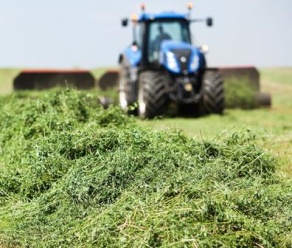 2025/2026 «Образование вне границ» – 5