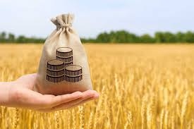 2025/2026 «Образование вне границ» – 16