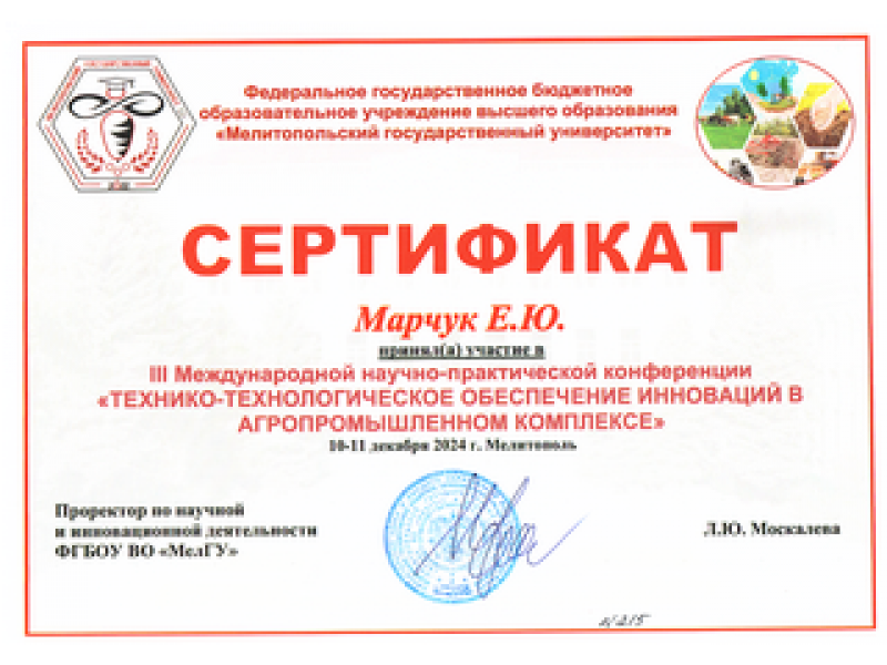 Сертификат участника Марчук Е.Ю. 