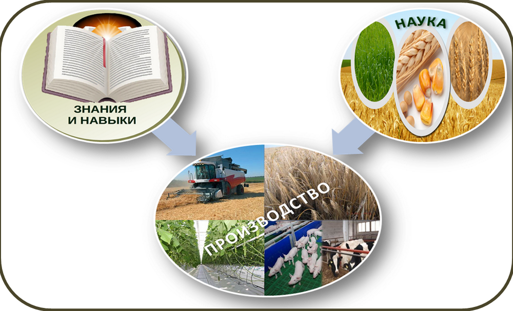 III Международная научно-практическая конференция  "Агропромышленный комплекс в условиях инновационного развития: наука, технологии, кадровое обеспечение", 4-5.06.2026 